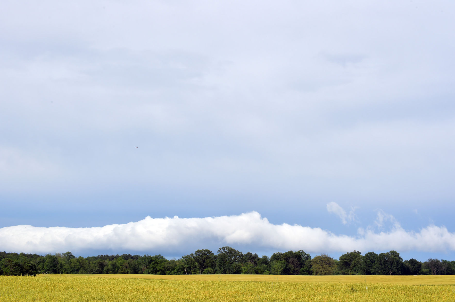 060716-blog-clouds